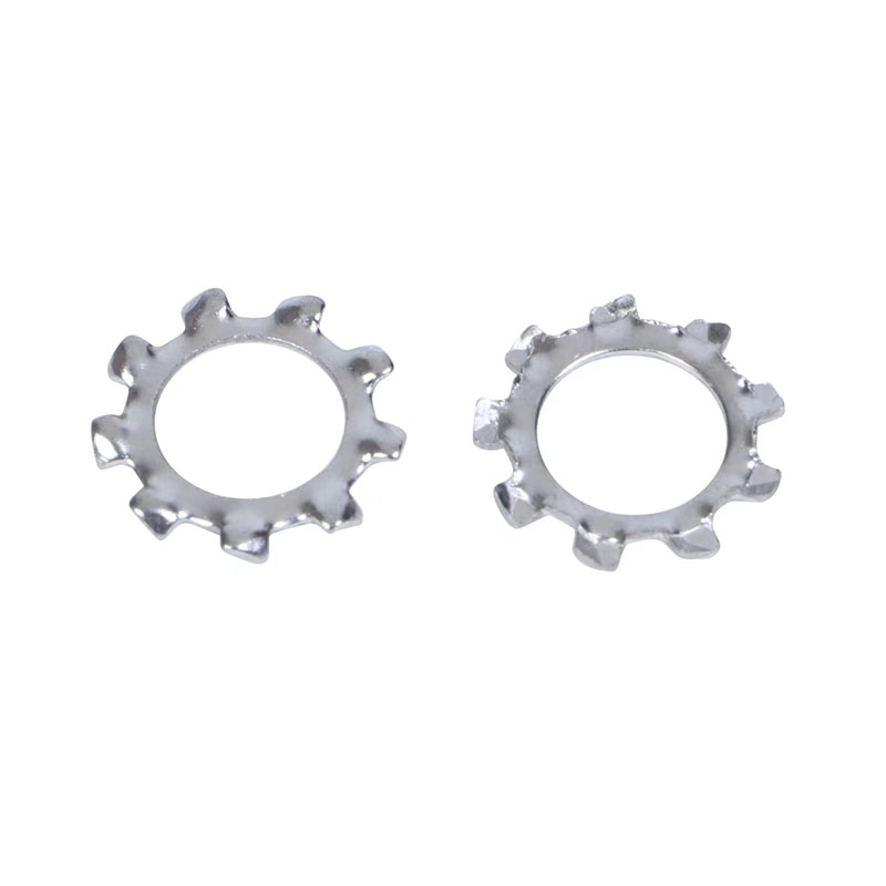 DIN 6797 Zahnscheiben